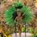 Rio Carnival - the biggest party in the world